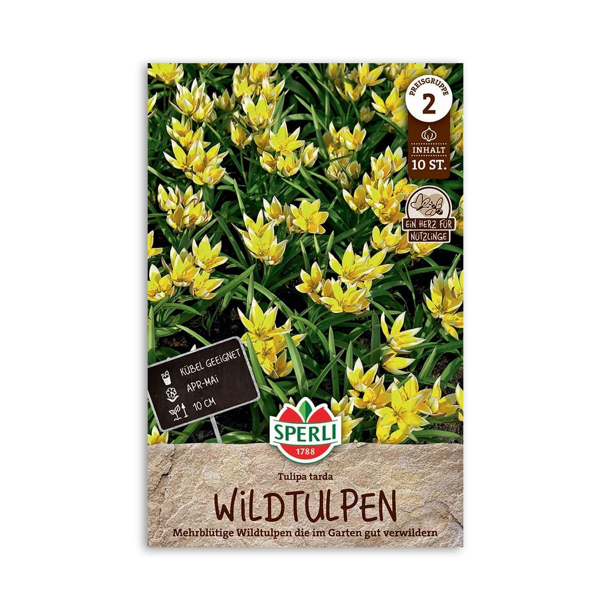 Pose med gule vilde tulipaner Tulipa tarda fra Sperli
