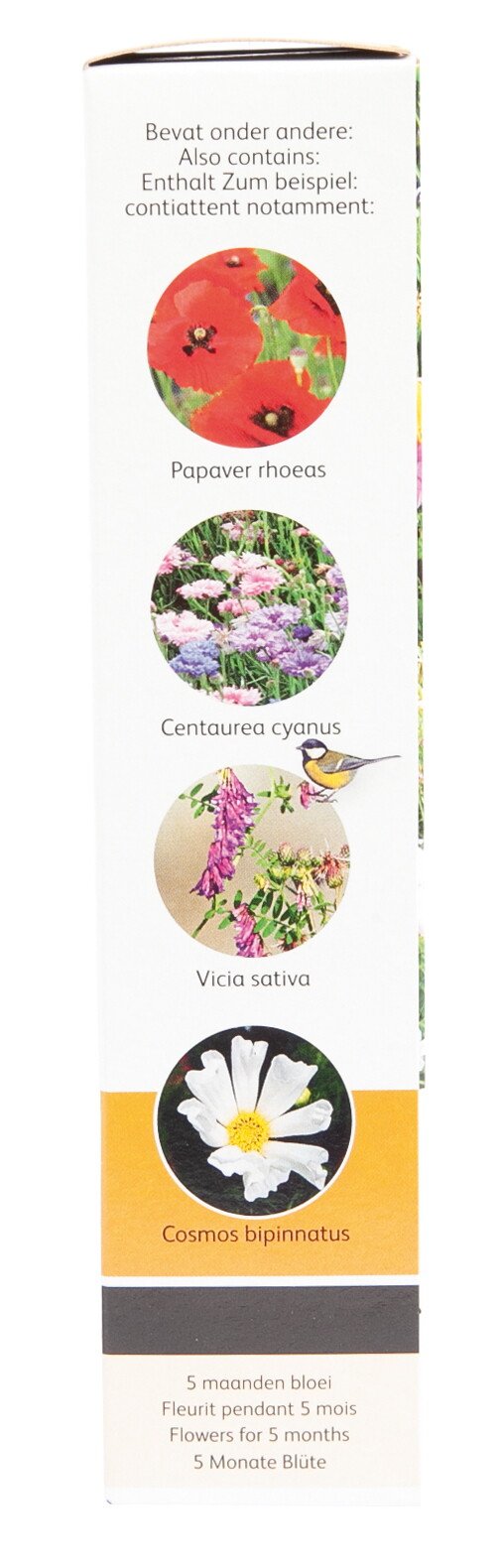 Blomsterfrømix til 5 måneders blomstring Frøblanding med valmue, kornblomst, vikke og cosmos