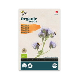 Økologiske Phacelia frø til bier Frøpose med økologiske Phacelia blomster