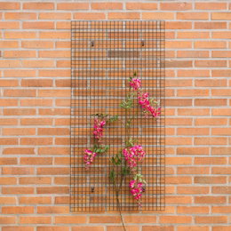 Vægmonteret espalier i metal til klatreplanter Sort metalespalier med lyserøde klatreblomster på murvæg
