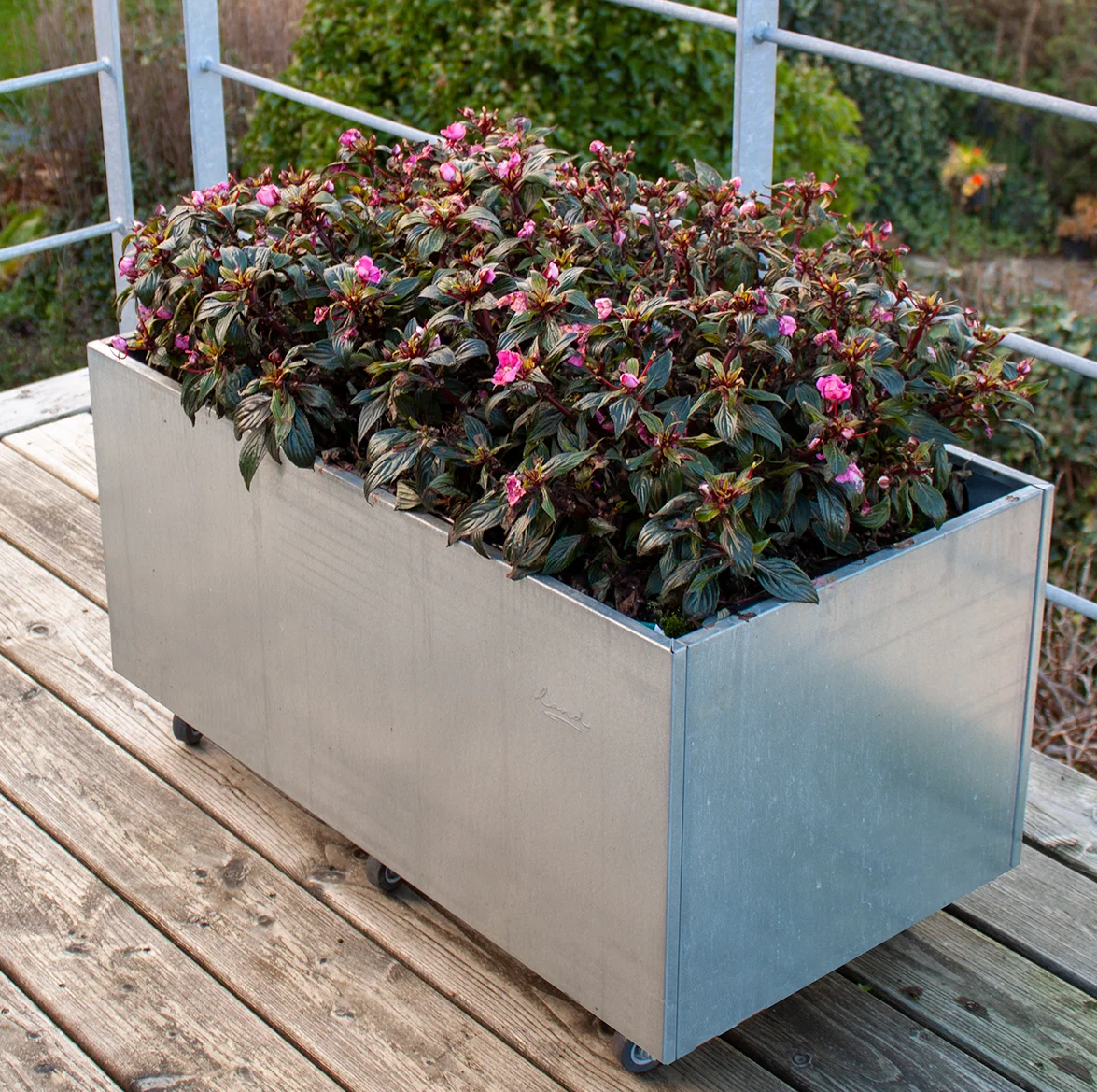 Galvaniseret stålkasse på hjul med blomstrende planter